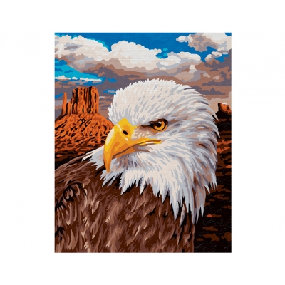 Картина по номерам Schipper Белоголовый орлан, 24х30 см